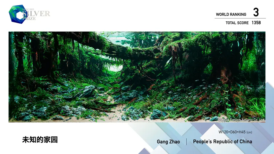 IAPLC 2022, 3. miejsce – Gang Zhao (Chiny)