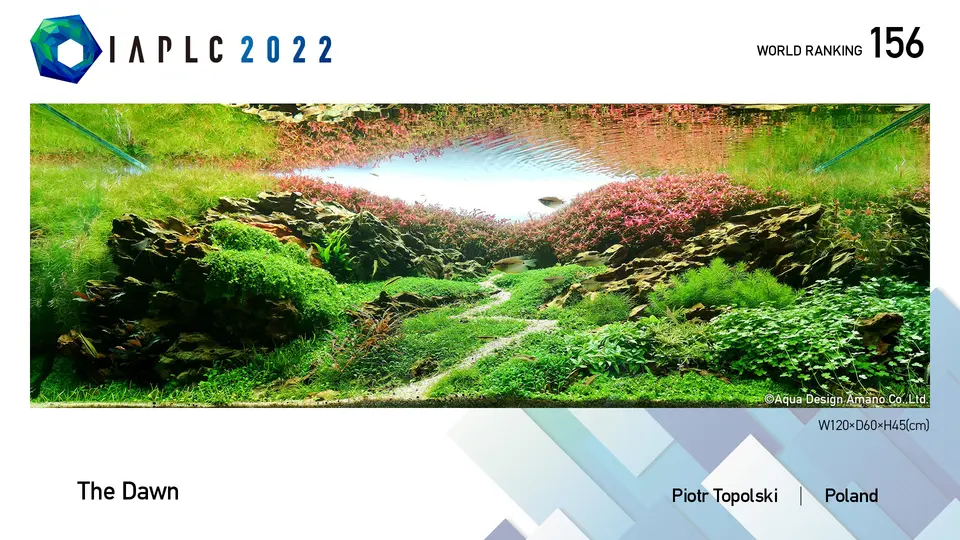IAPLC 2022 – najlepsza polska praca: Piotr Topolski