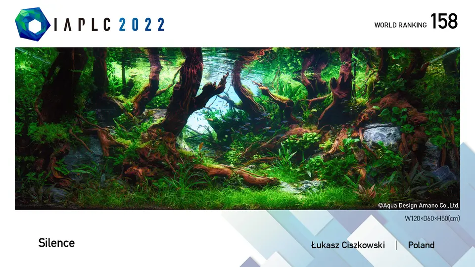 IAPLC 2022, 158. miejsce – Łukasz Ciszkowski