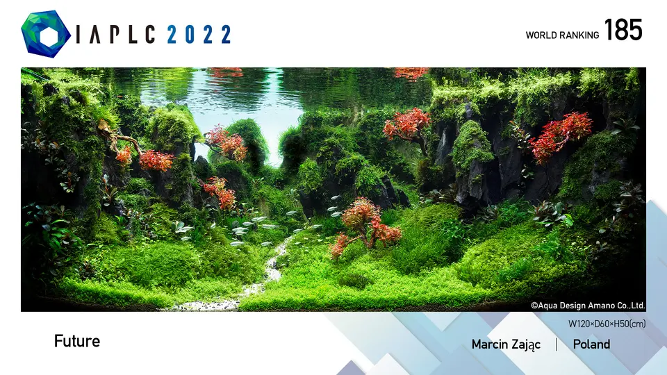 IAPLC 2022, 185. miejsce – Marcin Zając