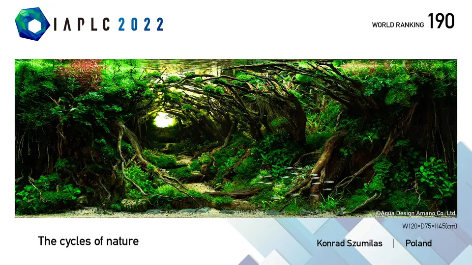 IAPLC 2022, 190. miejsce – Konrad Szumilas