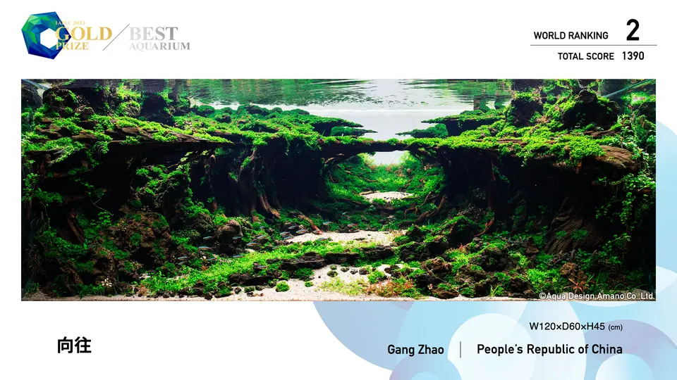IAPLC 2023, 2. miejsce – Gang Zhao (Chiny)