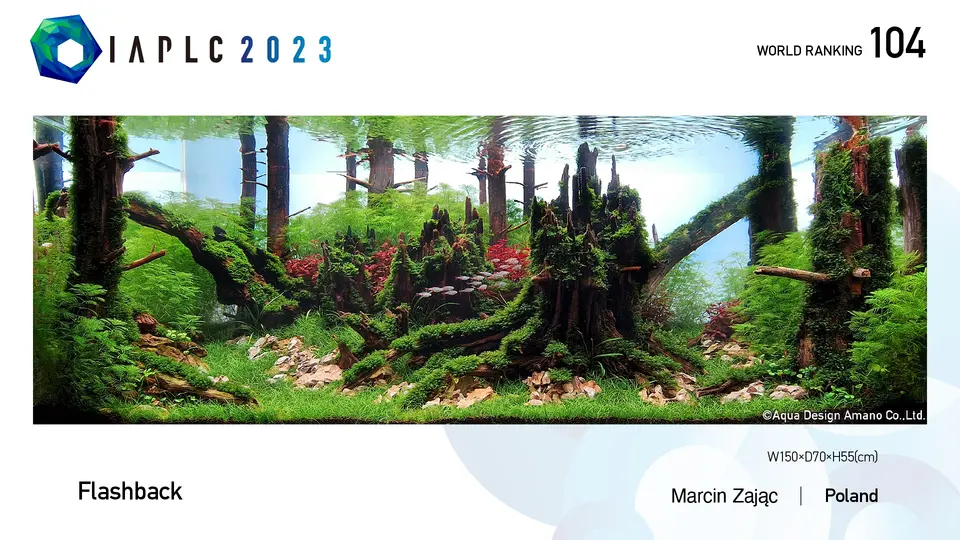 IAPLC 2023 – najlepsza polska praca: Marcin Zając