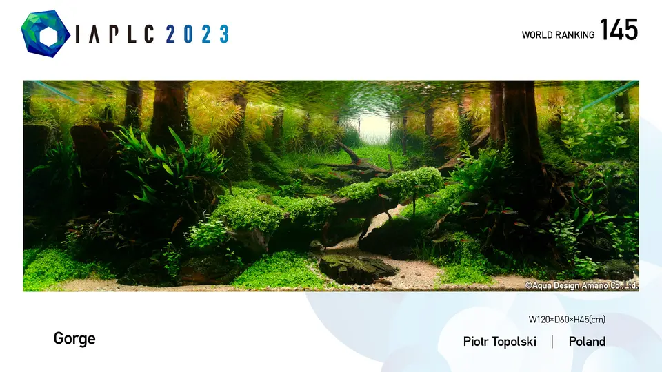 IAPLC 2023, 145. miejsce – Piotr Topolski