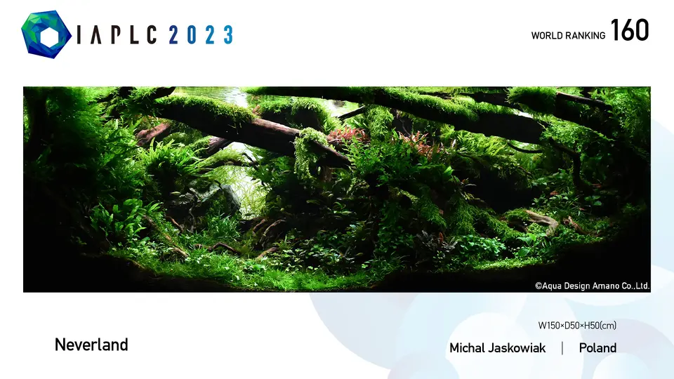 IAPLC 2023, 160. miejsce – Michal Jaskowiak