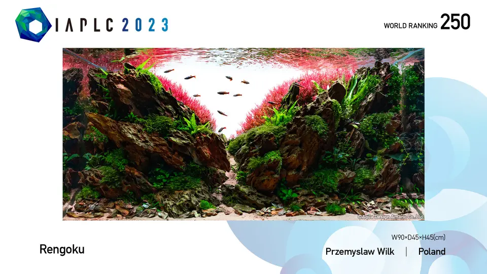 IAPLC 2023, 250. miejsce – Przemyslaw Wilk