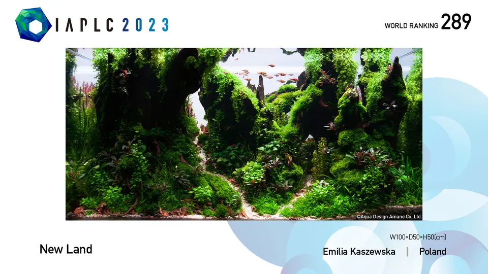 IAPLC 2023, 289. miejsce – Emilia Kaszewska