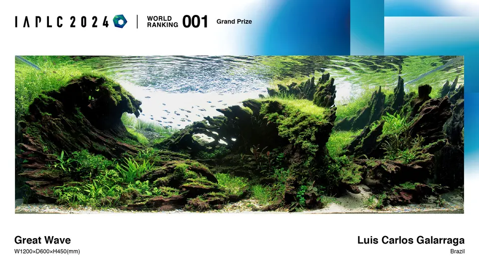 Grand Prize IAPLC 2024 – Luis Carlos Galarraga
