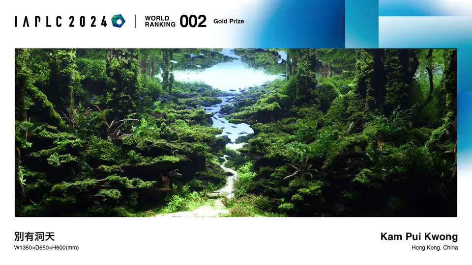 IAPLC 2024, 2. miejsce – Kam Pui Kwong (Hongkong)
