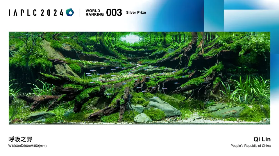 IAPLC 2024, 3. miejsce – Qi Lin (Chiny)