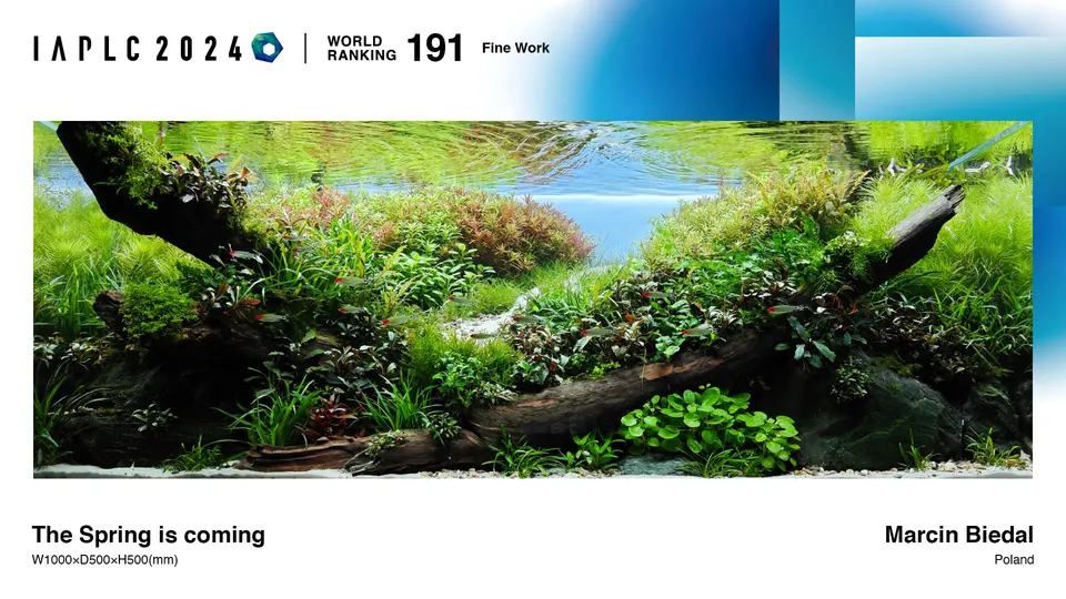 IAPLC 2024, 191. miejsce – Marcin Biedal