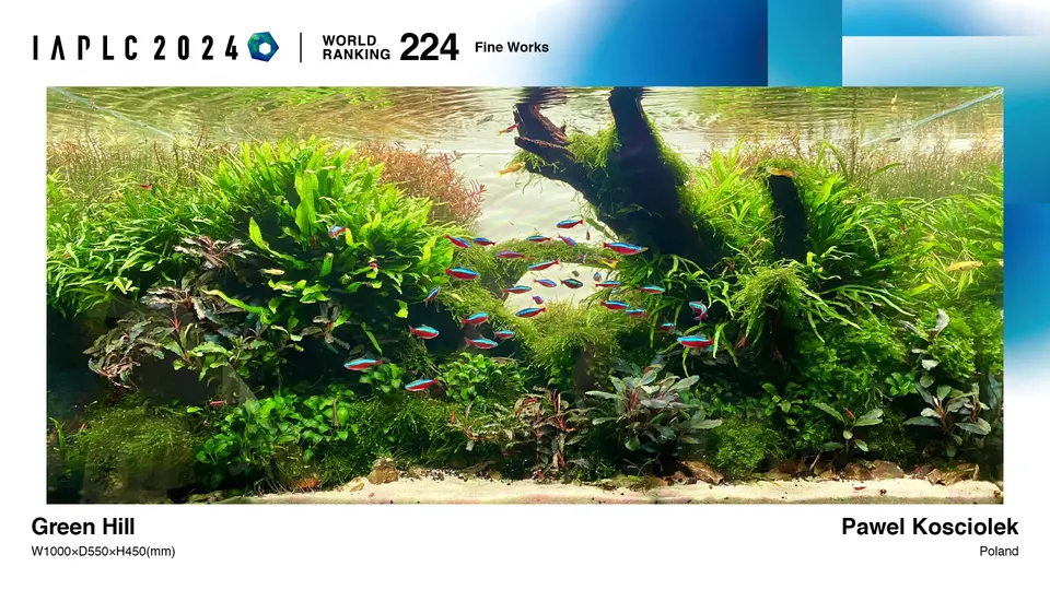 IAPLC 2024, 224. miejsce – Pawel Kosciolek
