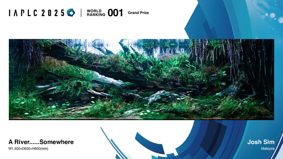 Grand Prize IAPLC 2025