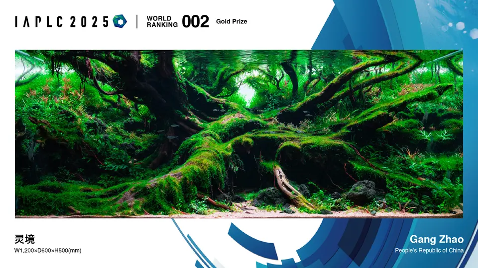 IAPLC 2025, 2. miejsce – Gang Zhao (Chiny)