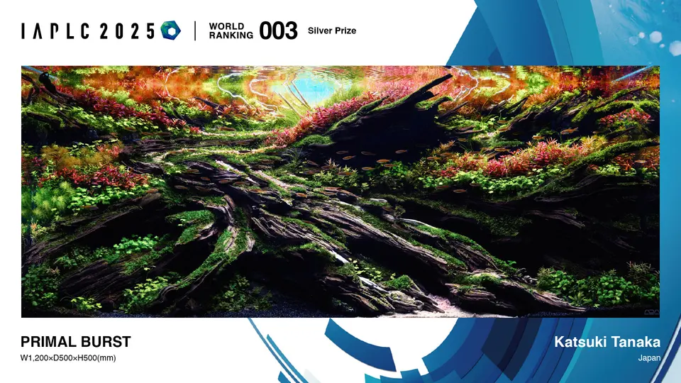 IAPLC 2025, 3. miejsce – Katsuki Tanaka (Japonia)