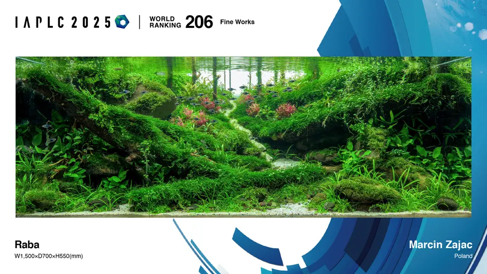 IAPLC 2025, 206. miejsce – Marcin Zajac