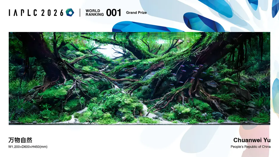 IAPLC – Grand Prize