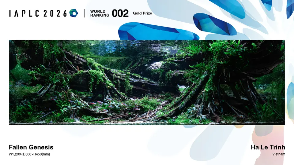 IAPLC 2026, 2. miejsce – Ha Le Trinh (Wietnam)