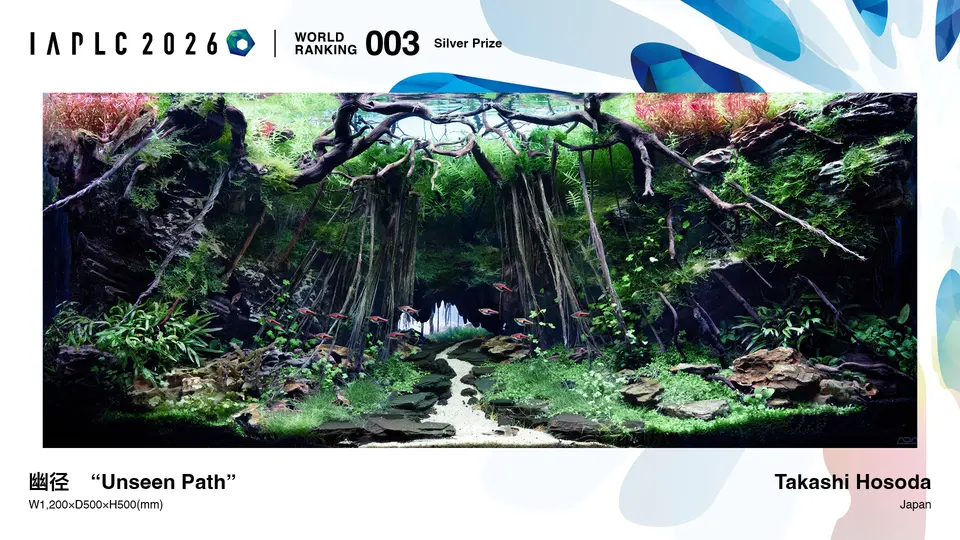 IAPLC 2026, 3. miejsce – Takashi Hosoda (Japonia)