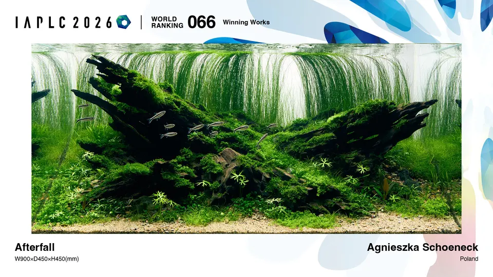 IAPLC 2026, 66. miejsce – Agnieszka Schoeneck