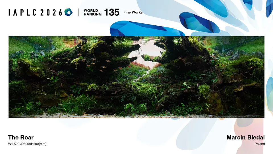 IAPLC 2026, 135. miejsce – Marcin Biedal