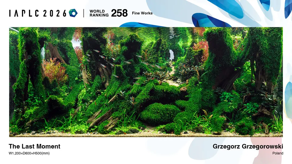 IAPLC 2026, 258. miejsce – Grzegorz Grzegorowski