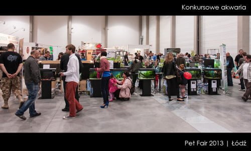 Pet Fair 2013 - Akwaria konkursowe