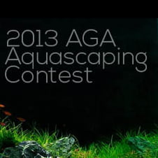Wyniki konkursu AGA 2013
