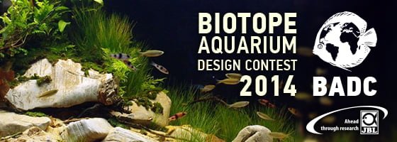 Biotope Aquarium Design Contest 2014