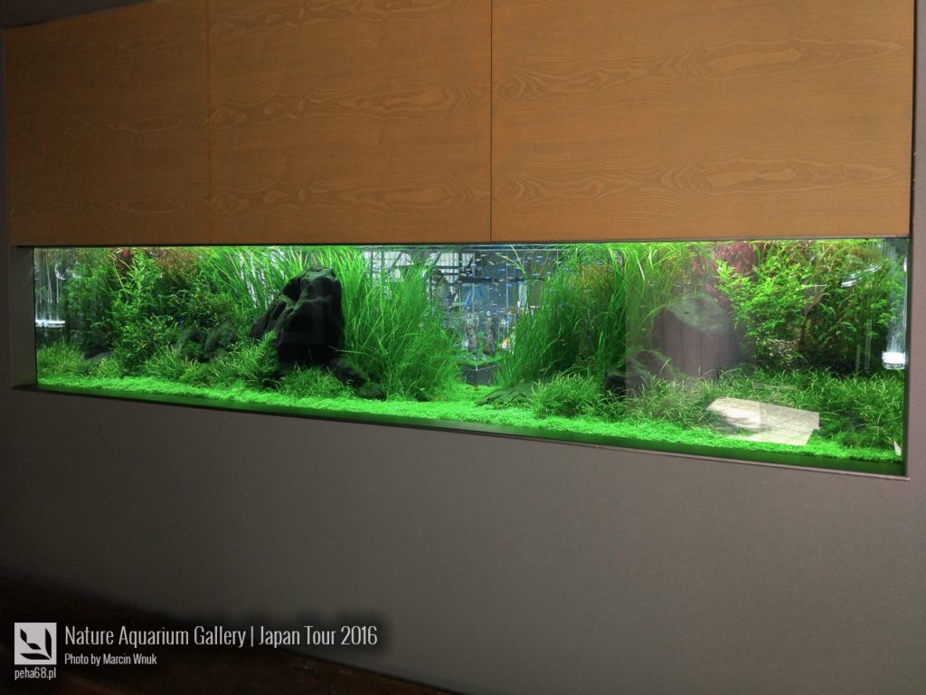 nature-aquarium-gallery-120