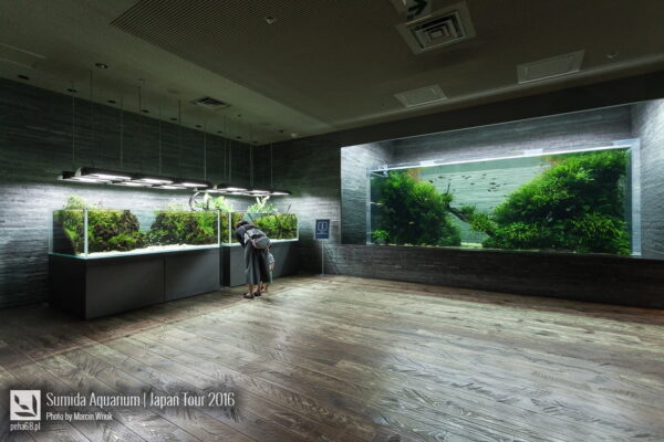 Sumida Aquarium – film