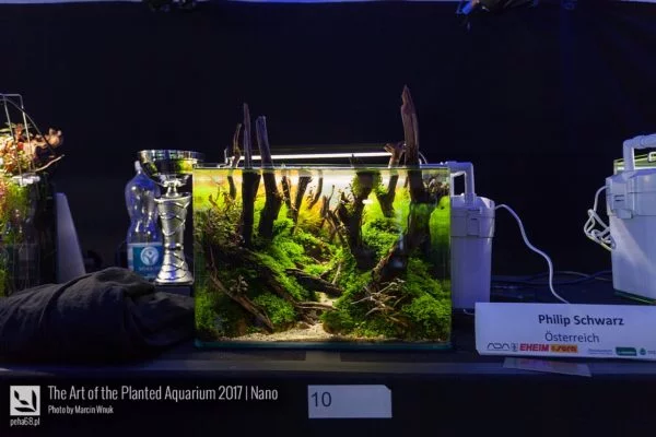 The Art of the Planted Aquarium 2017 – Nano